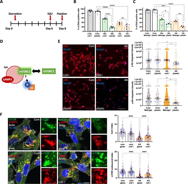 https://cdn.ncbi.nlm.nih.gov/pmc/blobs/ddff/10791009/ed312e884f50/pbio.3002406.g003.jpg