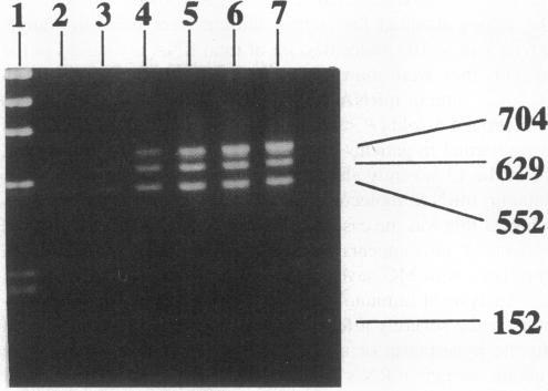 https://cdn.ncbi.nlm.nih.gov/pmc/blobs/ddff/296277/0e894f1c961e/jcinvest00019-0038-b.jpg