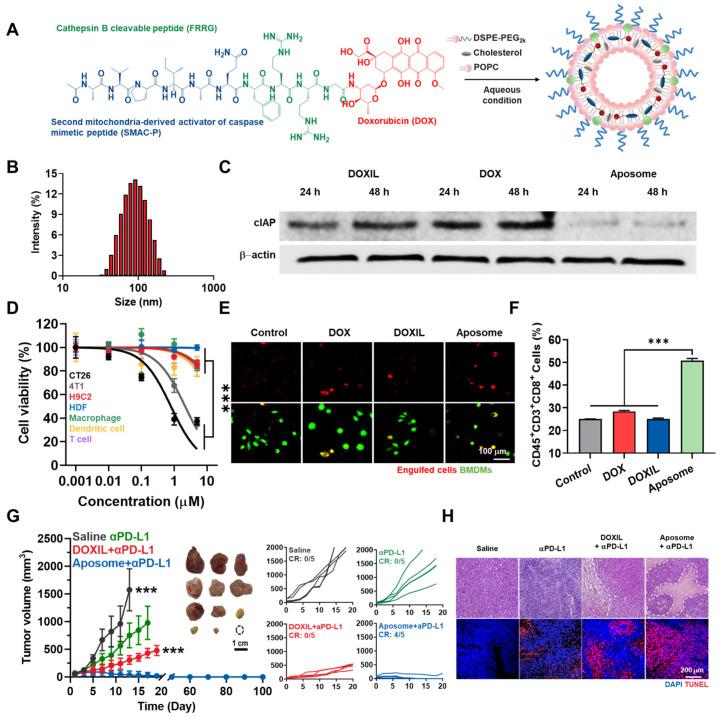 https://cdn.ncbi.nlm.nih.gov/pmc/blobs/de04/11396748/8bc3d7f73e39/molecules-29-03994-g002.jpg