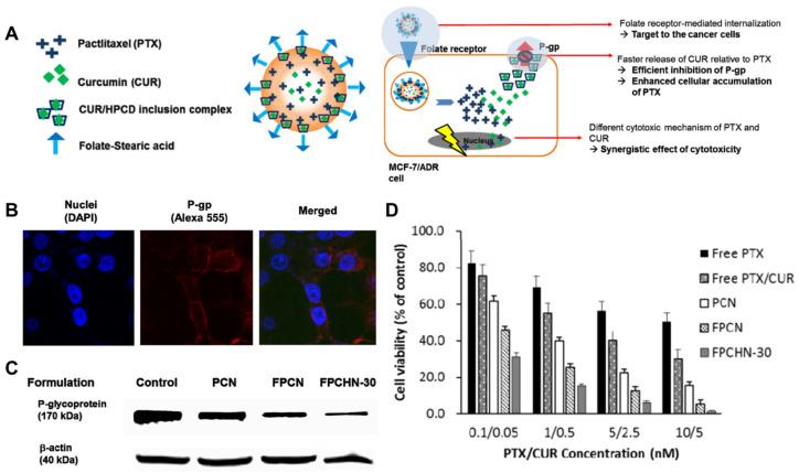 https://cdn.ncbi.nlm.nih.gov/pmc/blobs/de04/11396748/dbe89bbf40ec/molecules-29-03994-g004.jpg