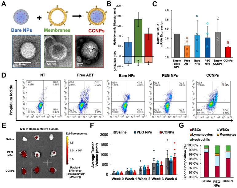 https://cdn.ncbi.nlm.nih.gov/pmc/blobs/de04/11396748/ea898c6f2f41/molecules-29-03994-g001.jpg