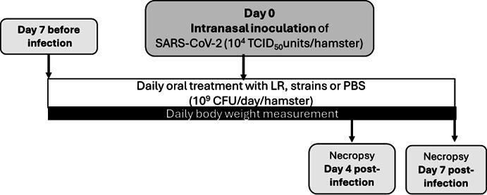 https://cdn.ncbi.nlm.nih.gov/pmc/blobs/de05/12175514/239403fc49c1/aem.00648-25.f006.jpg