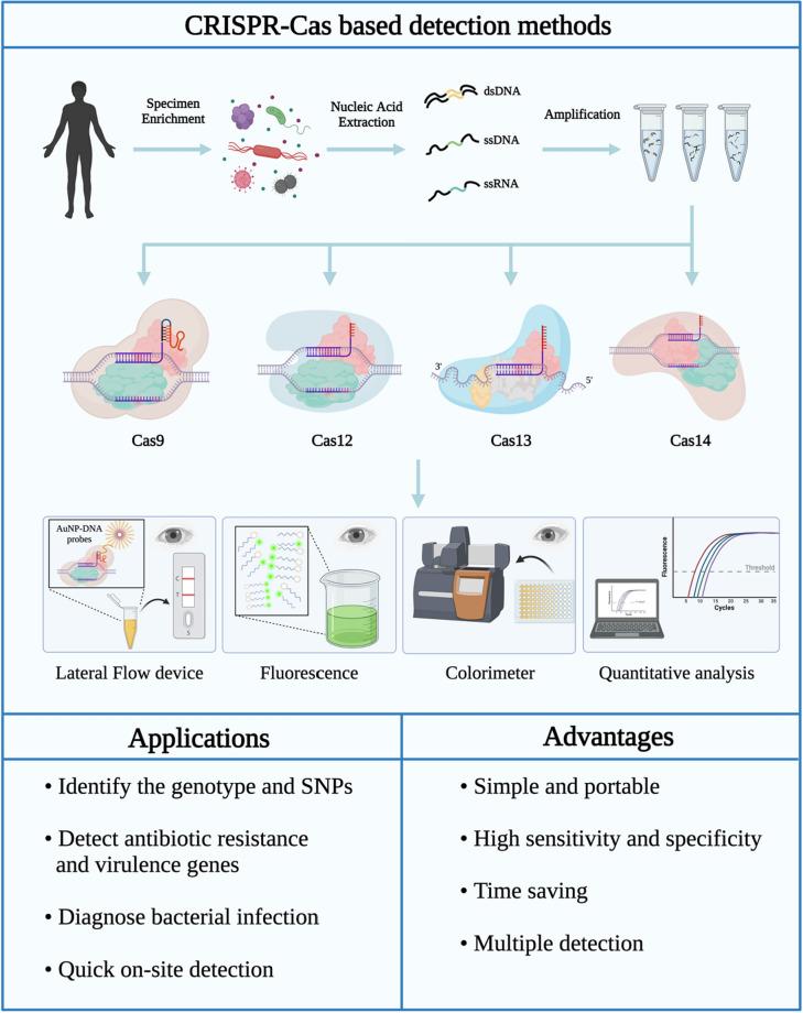 https://cdn.ncbi.nlm.nih.gov/pmc/blobs/de05/8642896/163360379e72/12951_2021_1132_Fig8_HTML.jpg
