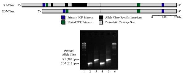 https://cdn.ncbi.nlm.nih.gov/pmc/blobs/de06/2881939/f8ed4ad093ed/1475-2875-9-138-1.jpg
