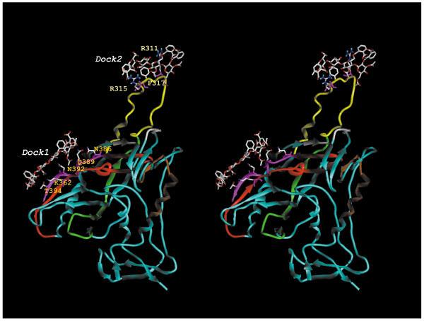 https://cdn.ncbi.nlm.nih.gov/pmc/blobs/de06/57811/d6f187950e11/1471-2334-1-17-7.jpg