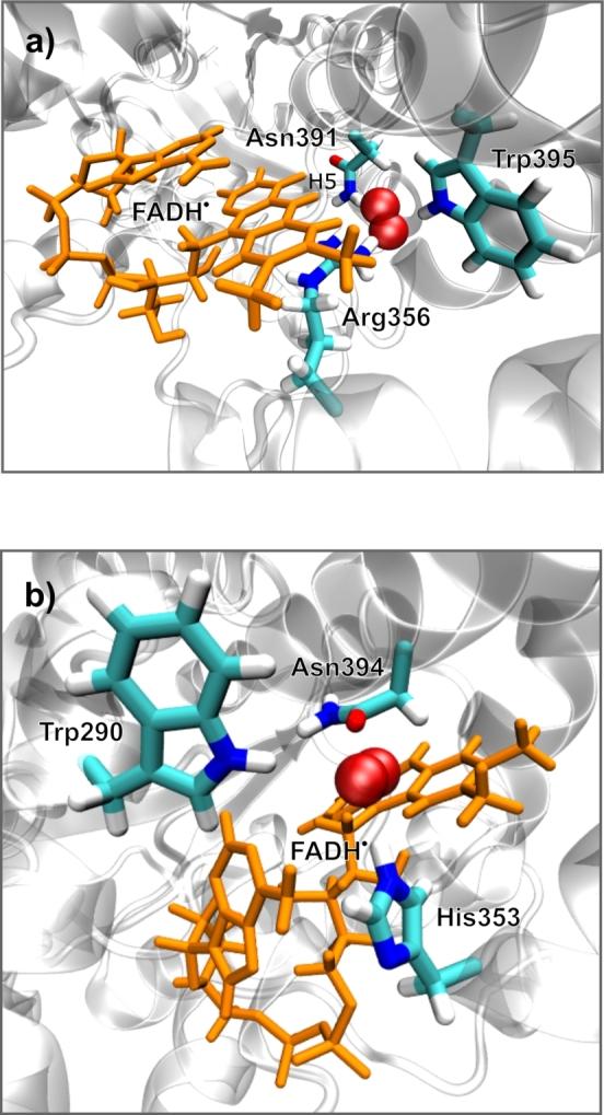 https://cdn.ncbi.nlm.nih.gov/pmc/blobs/de0a/10776438/1c8bbf8cbf44/gr007.jpg