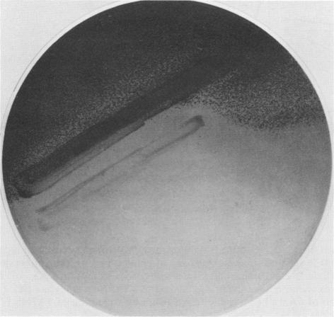 https://cdn.ncbi.nlm.nih.gov/pmc/blobs/de0c/239197/cf682b7ea58b/aem00134-0231-a.jpg