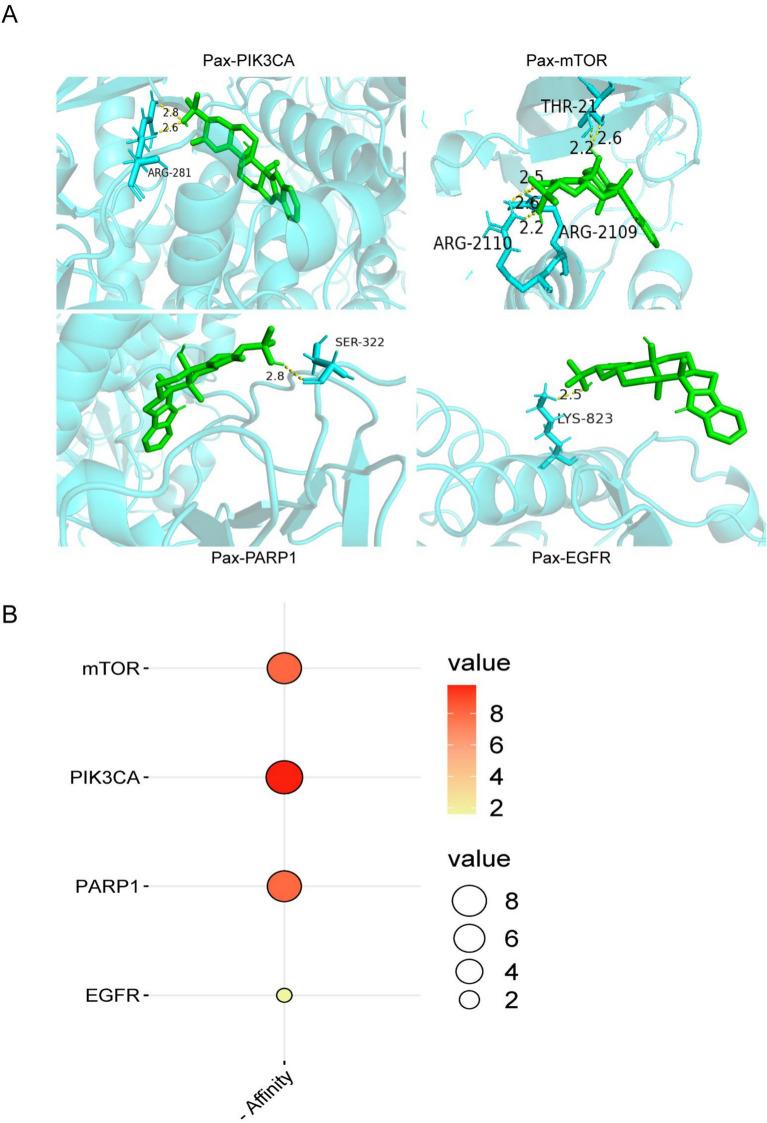 https://cdn.ncbi.nlm.nih.gov/pmc/blobs/de0f/12117046/09437e53f24d/41598_2025_3044_Fig3_HTML.jpg