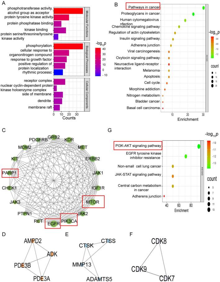 https://cdn.ncbi.nlm.nih.gov/pmc/blobs/de0f/12117046/3aecbd29ac7e/41598_2025_3044_Fig2_HTML.jpg