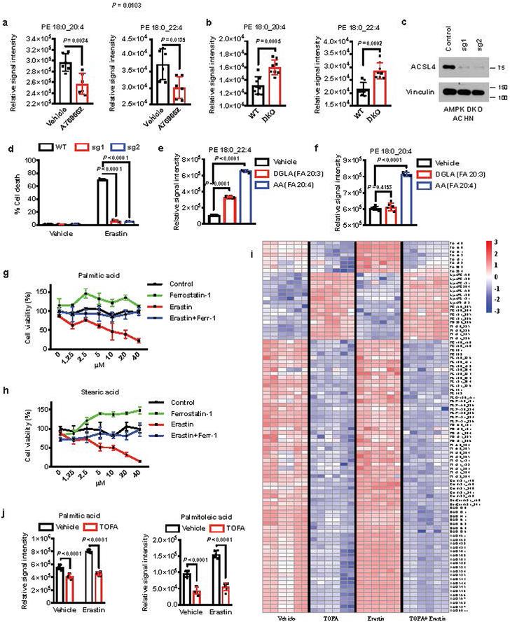 https://cdn.ncbi.nlm.nih.gov/pmc/blobs/de0f/7008777/0db65e93b2a7/nihms-1548195-f0012.jpg