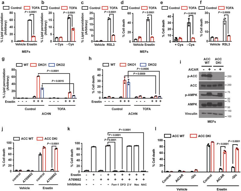 https://cdn.ncbi.nlm.nih.gov/pmc/blobs/de0f/7008777/0f20ef36bbb8/nihms-1548195-f0004.jpg