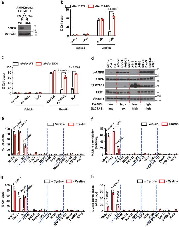 https://cdn.ncbi.nlm.nih.gov/pmc/blobs/de0f/7008777/67448dad2da7/nihms-1548195-f0002.jpg