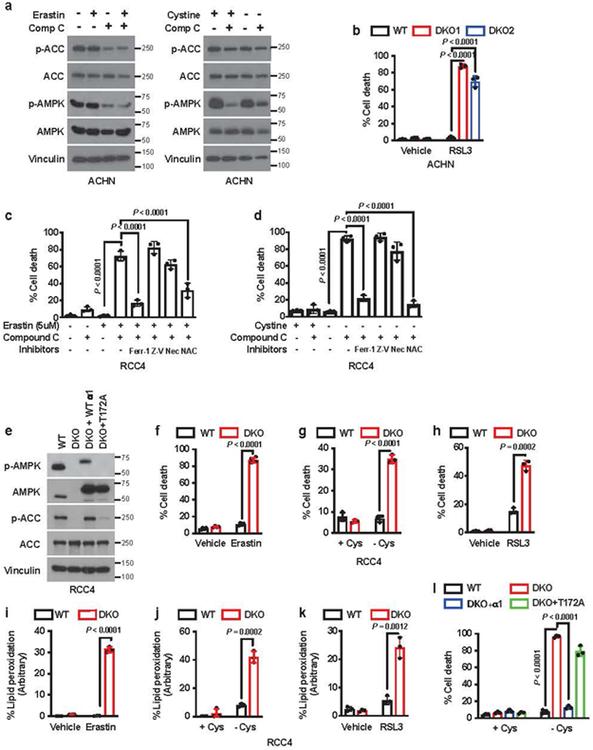 https://cdn.ncbi.nlm.nih.gov/pmc/blobs/de0f/7008777/831976f42070/nihms-1548195-f0008.jpg