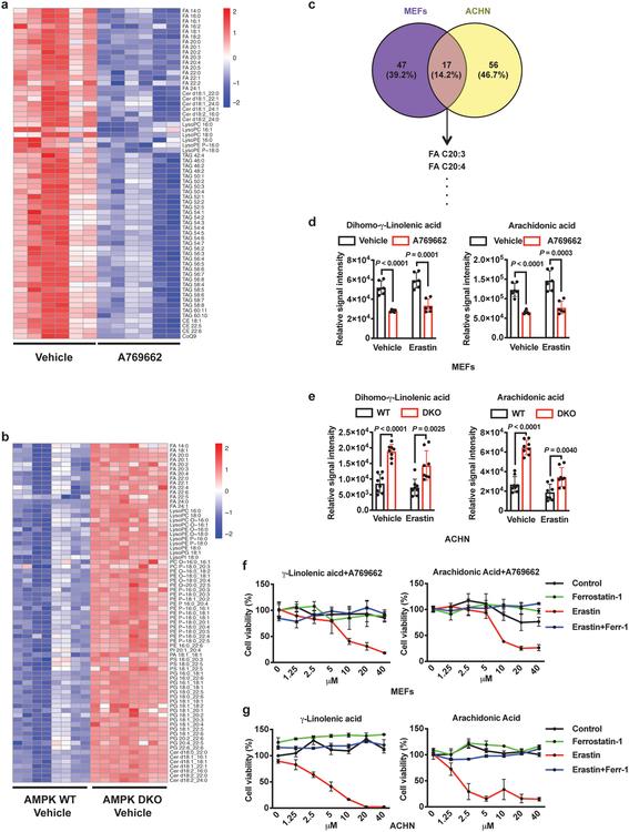 https://cdn.ncbi.nlm.nih.gov/pmc/blobs/de0f/7008777/83422e048de5/nihms-1548195-f0005.jpg