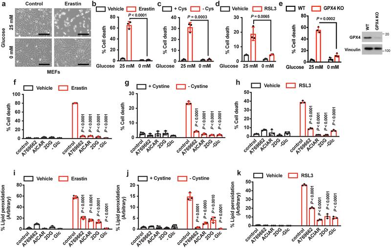 https://cdn.ncbi.nlm.nih.gov/pmc/blobs/de0f/7008777/ae91dbc20afc/nihms-1548195-f0001.jpg