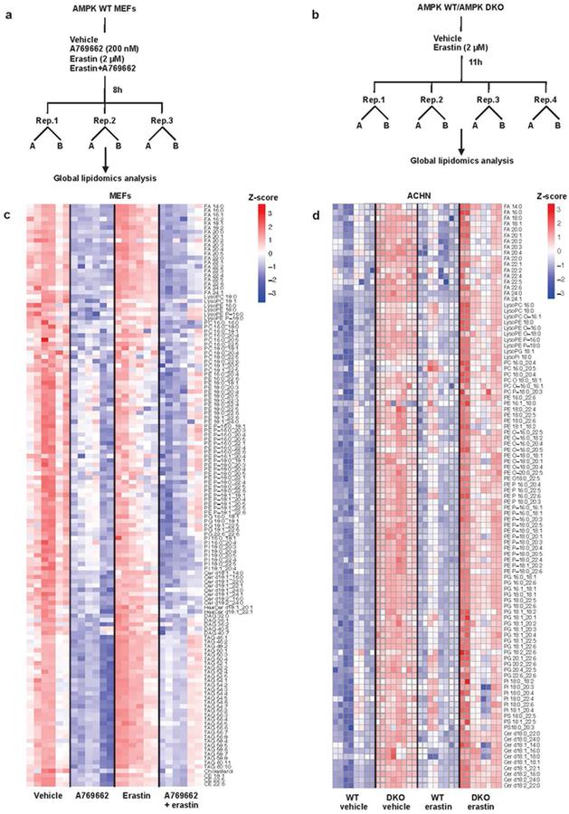 https://cdn.ncbi.nlm.nih.gov/pmc/blobs/de0f/7008777/b24b28fccac6/nihms-1548195-f0010.jpg