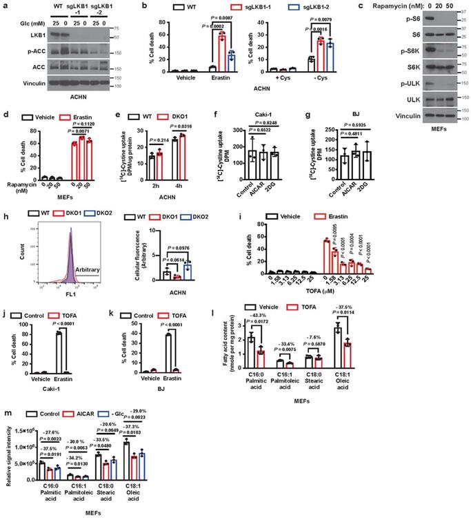 https://cdn.ncbi.nlm.nih.gov/pmc/blobs/de0f/7008777/cc6fcc3c4704/nihms-1548195-f0009.jpg
