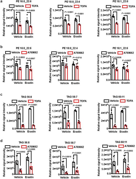 https://cdn.ncbi.nlm.nih.gov/pmc/blobs/de0f/7008777/ec21949c7859/nihms-1548195-f0013.jpg