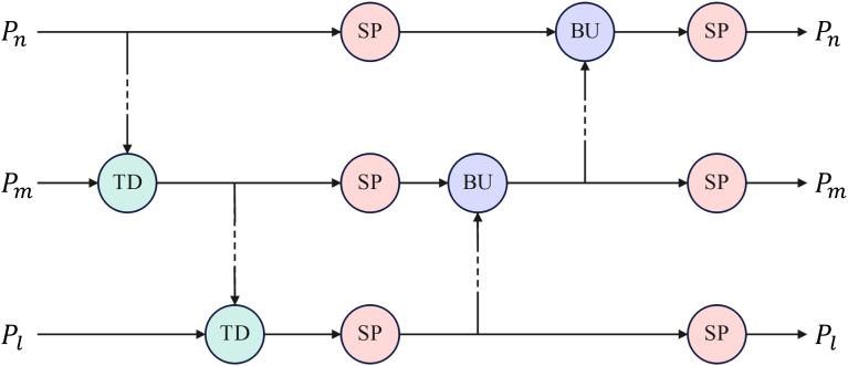 https://cdn.ncbi.nlm.nih.gov/pmc/blobs/de11/11464322/40436b03add6/fpls-15-1452821-g005.jpg