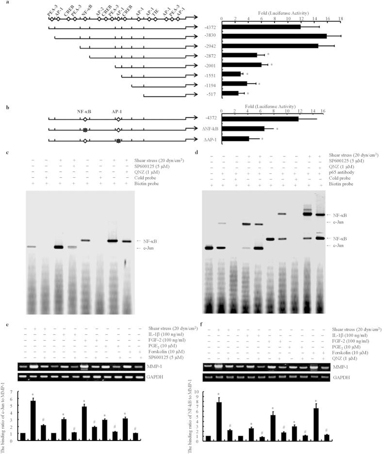 https://cdn.ncbi.nlm.nih.gov/pmc/blobs/de12/4438667/2bf7a960a7dd/srep10412-f4.jpg