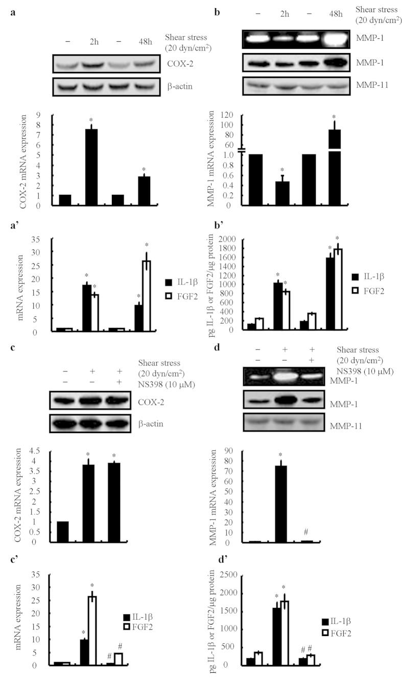 https://cdn.ncbi.nlm.nih.gov/pmc/blobs/de12/4438667/ebdbd8ea197c/srep10412-f1.jpg