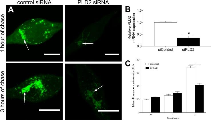 https://cdn.ncbi.nlm.nih.gov/pmc/blobs/de12/4619593/c1dbb3852804/pone.0139888.g006.jpg