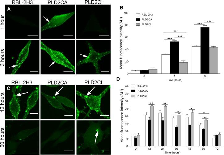 https://cdn.ncbi.nlm.nih.gov/pmc/blobs/de12/4619593/f2ab669579eb/pone.0139888.g004.jpg
