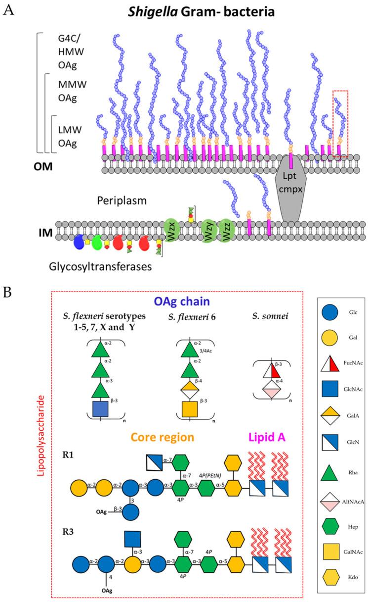 https://cdn.ncbi.nlm.nih.gov/pmc/blobs/de13/10003550/cce20c0199ae/ijms-24-04649-g005.jpg