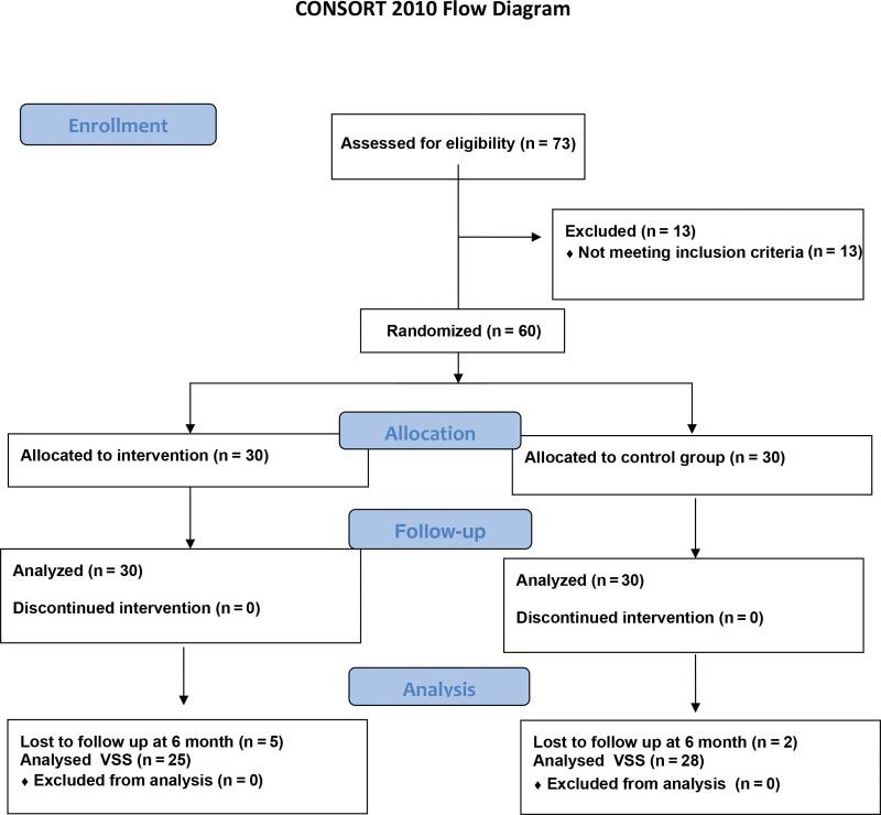 https://cdn.ncbi.nlm.nih.gov/pmc/blobs/de15/10817021/c59b3bda9619/gox-12-e5492-g001.jpg