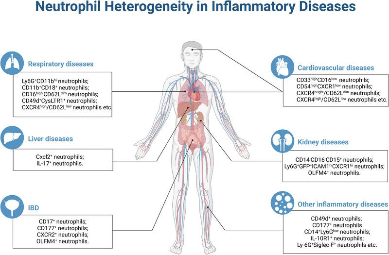 https://cdn.ncbi.nlm.nih.gov/pmc/blobs/de16/10363828/d7c0343ef641/MCO2-4-e325-g003.jpg