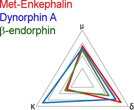 https://cdn.ncbi.nlm.nih.gov/pmc/blobs/de18/7330675/8f374101e19a/mol.120.119388absf1.jpg