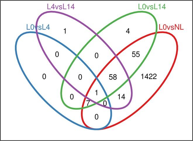 https://cdn.ncbi.nlm.nih.gov/pmc/blobs/de19/5179238/e28537963ac8/pone.0167437.g001.jpg