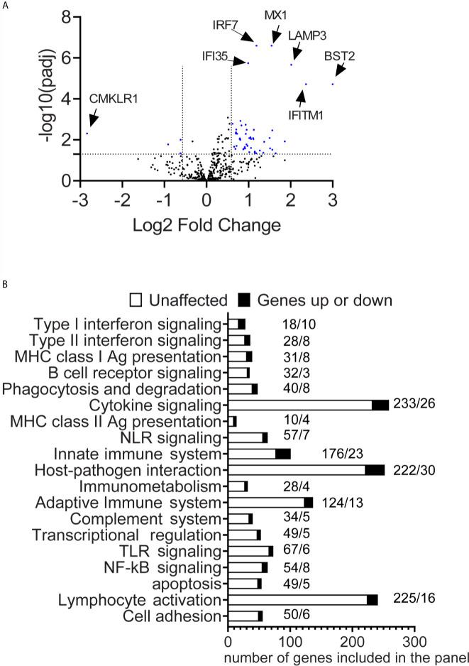 https://cdn.ncbi.nlm.nih.gov/pmc/blobs/de19/8326832/632420383f0a/fimmu-12-702755-g001.jpg