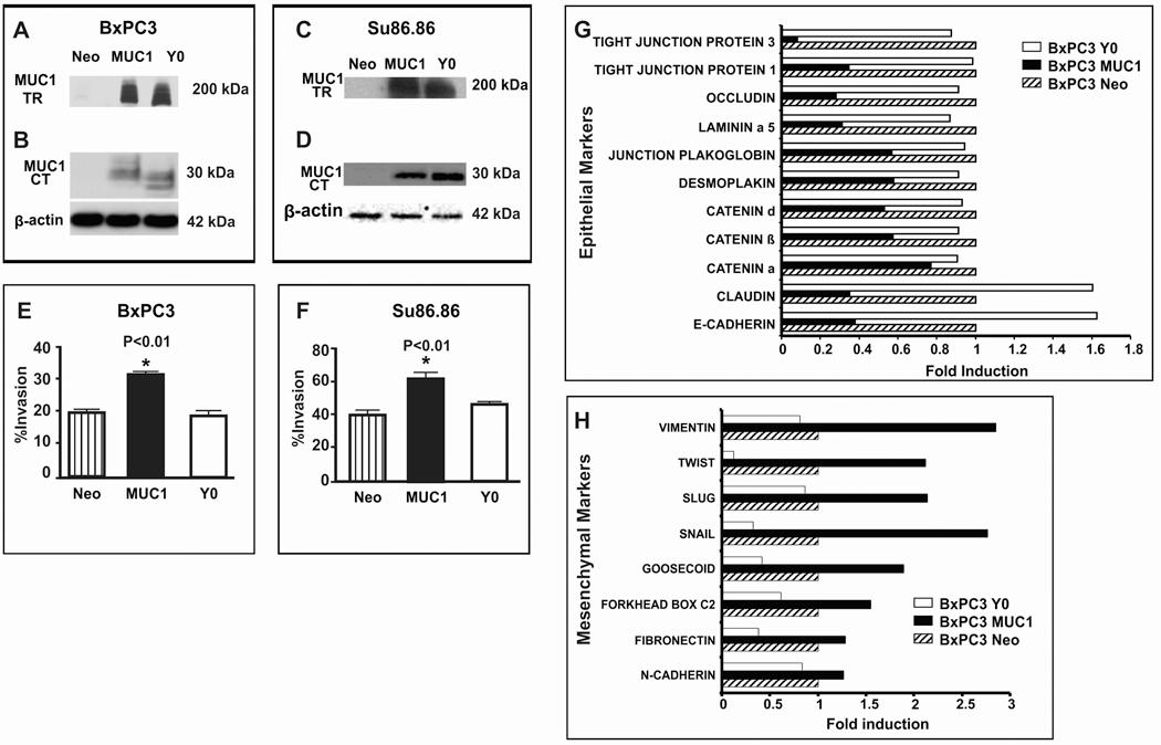 https://cdn.ncbi.nlm.nih.gov/pmc/blobs/de1a/3063863/642a449d5f09/nihms240140f2.jpg