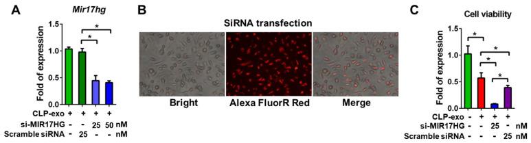 https://cdn.ncbi.nlm.nih.gov/pmc/blobs/de1b/10968321/37789054c946/biomedicines-12-00534-g002.jpg