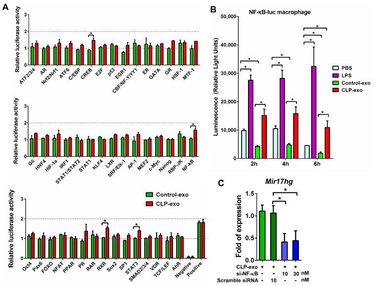 https://cdn.ncbi.nlm.nih.gov/pmc/blobs/de1b/10968321/9ff3548192ab/biomedicines-12-00534-g003.jpg