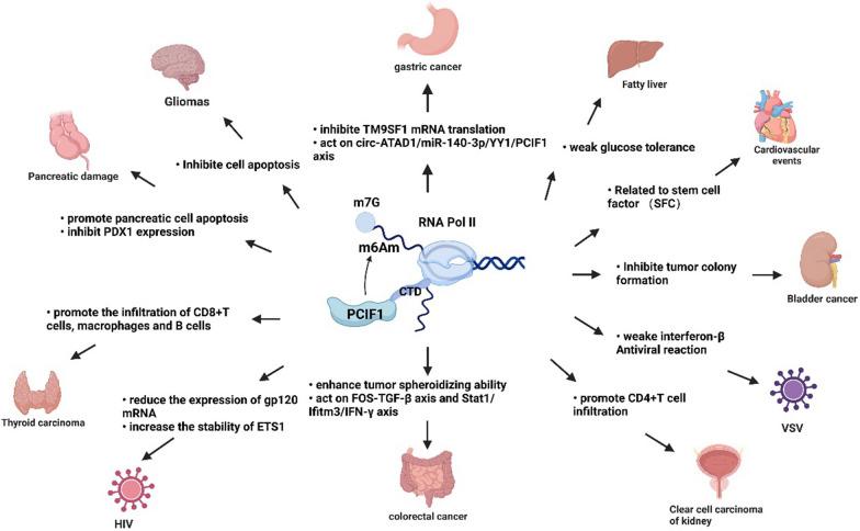 https://cdn.ncbi.nlm.nih.gov/pmc/blobs/de1c/10544176/3692108064f1/12935_2023_3066_Fig2_HTML.jpg