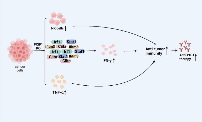 https://cdn.ncbi.nlm.nih.gov/pmc/blobs/de1c/10544176/addbc9f25e17/12935_2023_3066_Fig3_HTML.jpg