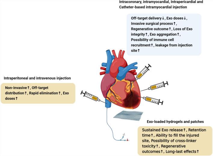 https://cdn.ncbi.nlm.nih.gov/pmc/blobs/de1c/12090443/2bf38e5dfd19/13287_2025_4363_Fig3_HTML.jpg