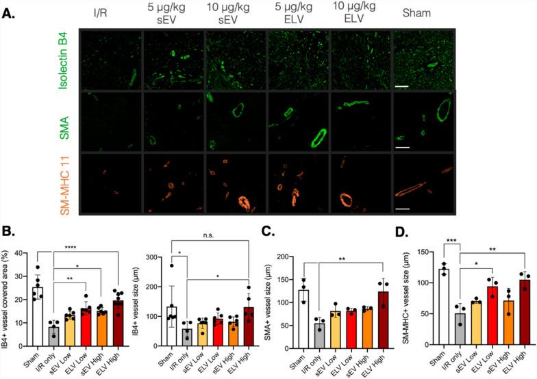 https://cdn.ncbi.nlm.nih.gov/pmc/blobs/de1c/12090443/41fe05652b01/13287_2025_4363_Fig7_HTML.jpg