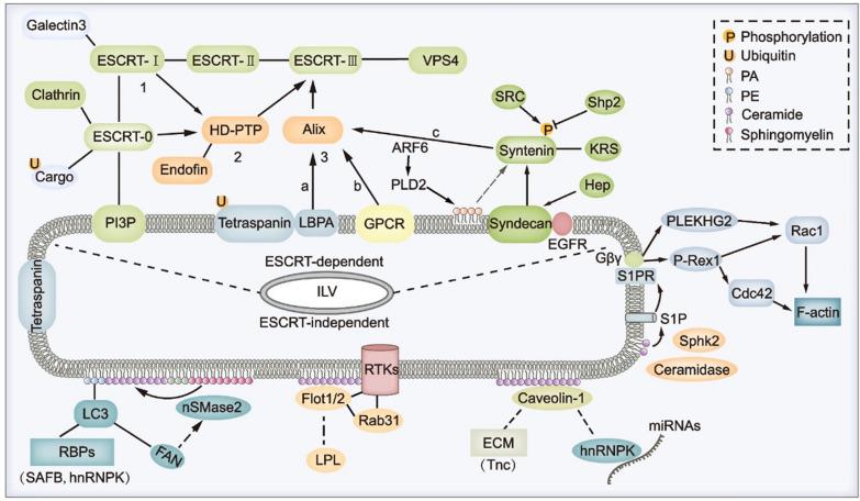 https://cdn.ncbi.nlm.nih.gov/pmc/blobs/de1c/12090443/5dba91736abe/13287_2025_4363_Fig2_HTML.jpg