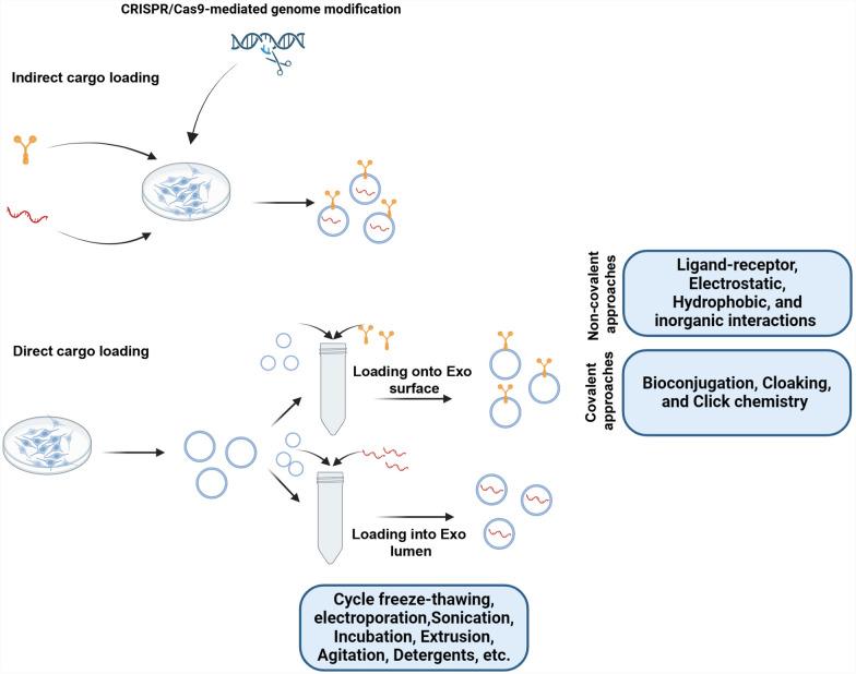 https://cdn.ncbi.nlm.nih.gov/pmc/blobs/de1c/12090443/86d557968d96/13287_2025_4363_Fig4_HTML.jpg