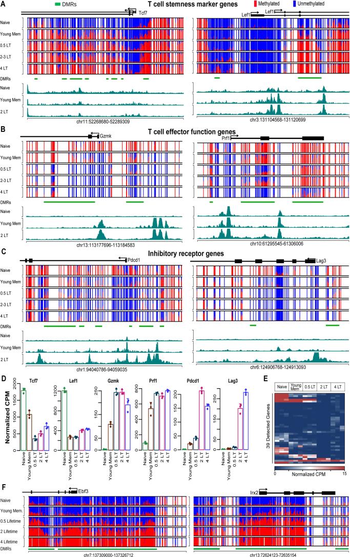 https://cdn.ncbi.nlm.nih.gov/pmc/blobs/de20/11333289/175df25278d2/43587_2024_649_Fig5_ESM.jpg