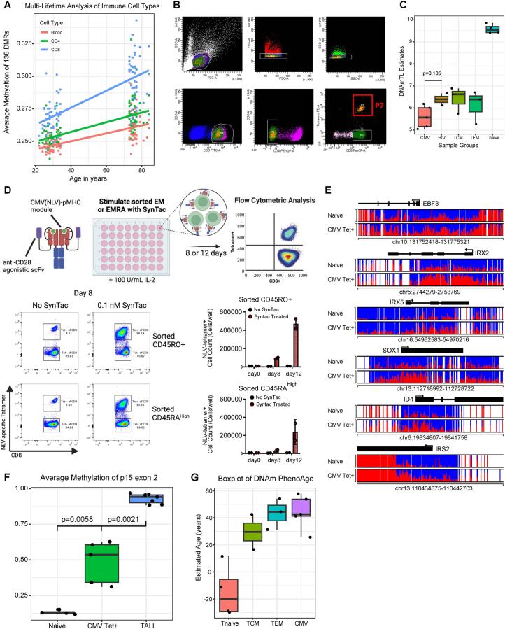 https://cdn.ncbi.nlm.nih.gov/pmc/blobs/de20/11333289/9caccaa25749/43587_2024_649_Fig9_ESM.jpg