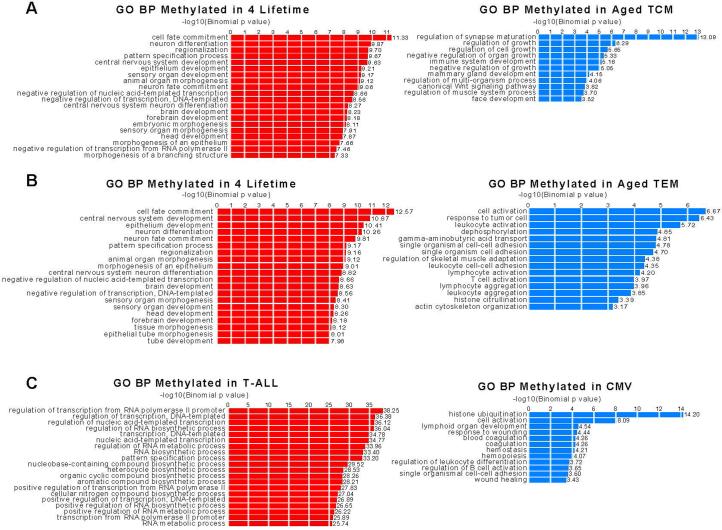 https://cdn.ncbi.nlm.nih.gov/pmc/blobs/de20/11333289/e93eb5766ccc/43587_2024_649_Fig12_ESM.jpg