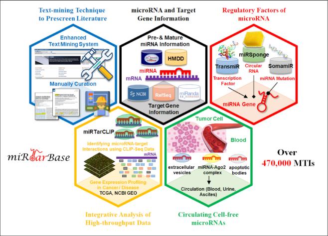 https://cdn.ncbi.nlm.nih.gov/pmc/blobs/de21/7145596/cbe43f0087b7/gkz896fig1.jpg