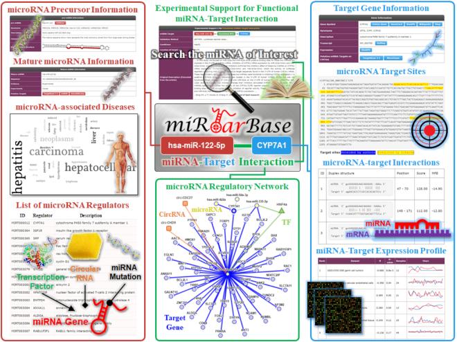 https://cdn.ncbi.nlm.nih.gov/pmc/blobs/de21/7145596/f8ea61e406e3/gkz896fig2.jpg