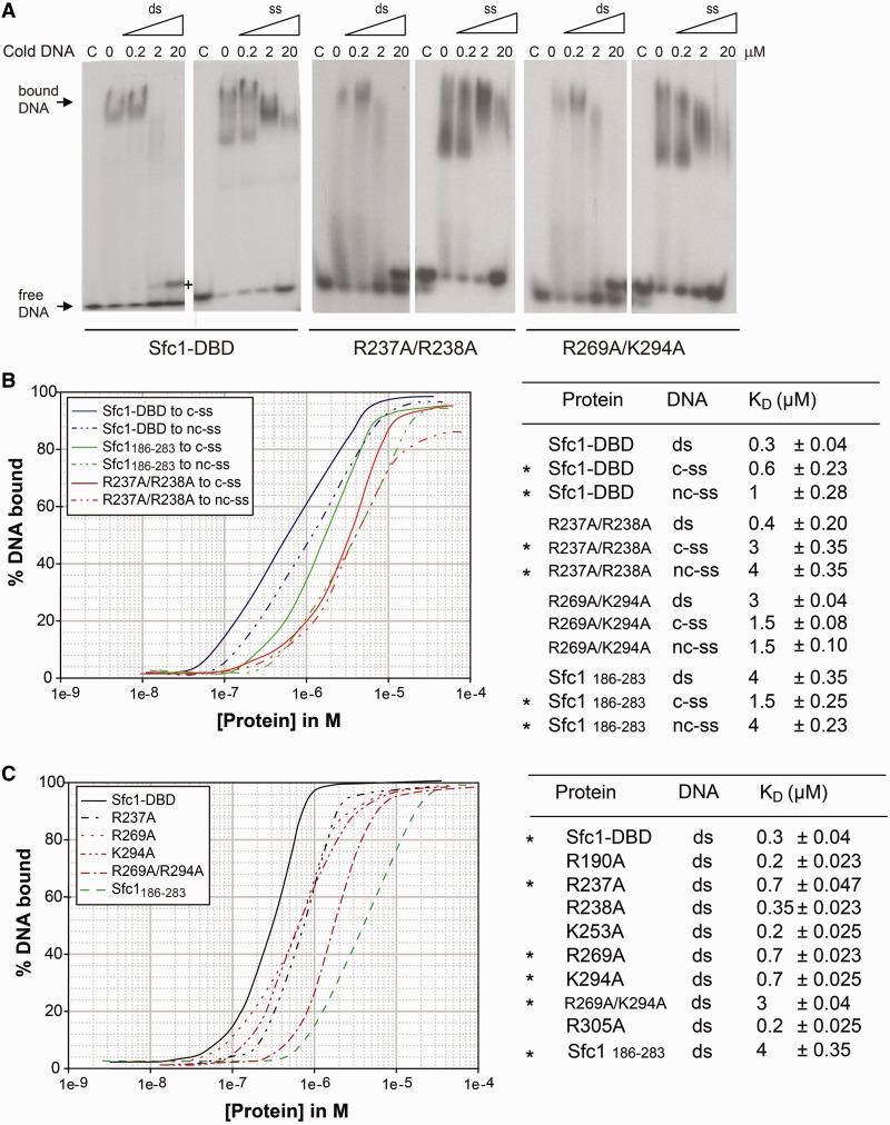 https://cdn.ncbi.nlm.nih.gov/pmc/blobs/de22/3799434/6f6f50709bd5/gkt664f4p.jpg