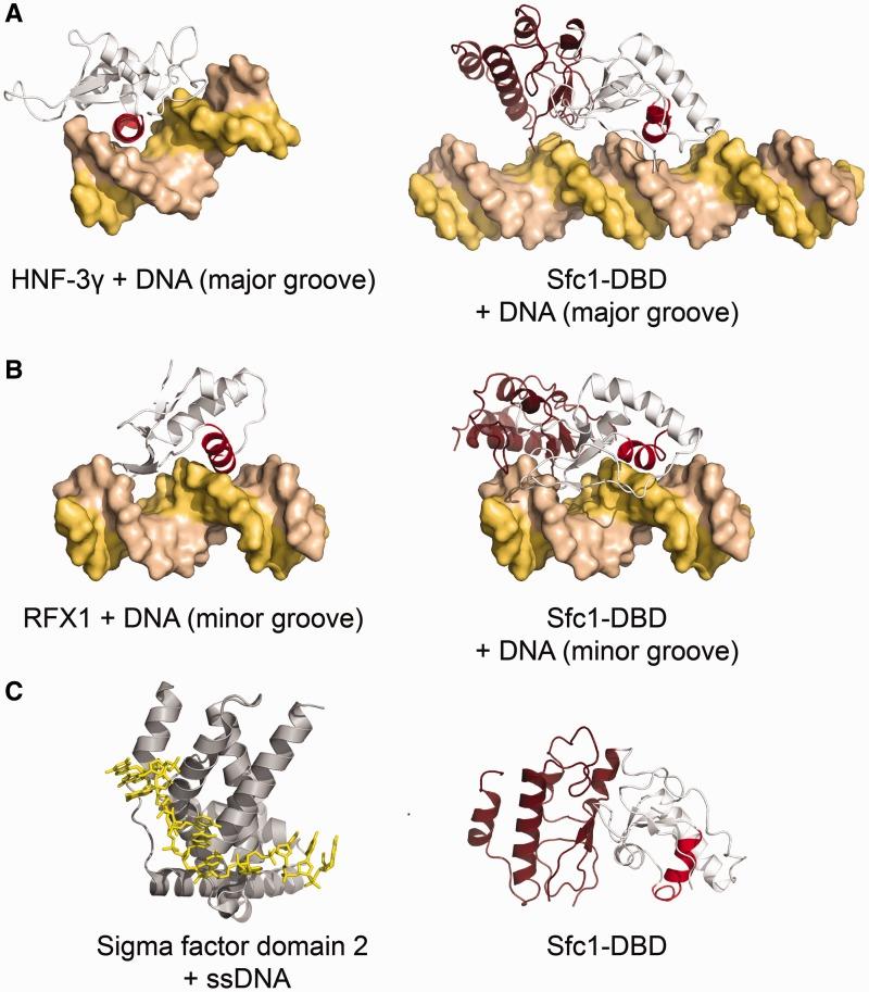 https://cdn.ncbi.nlm.nih.gov/pmc/blobs/de22/3799434/d933529c6dc9/gkt664f6p.jpg