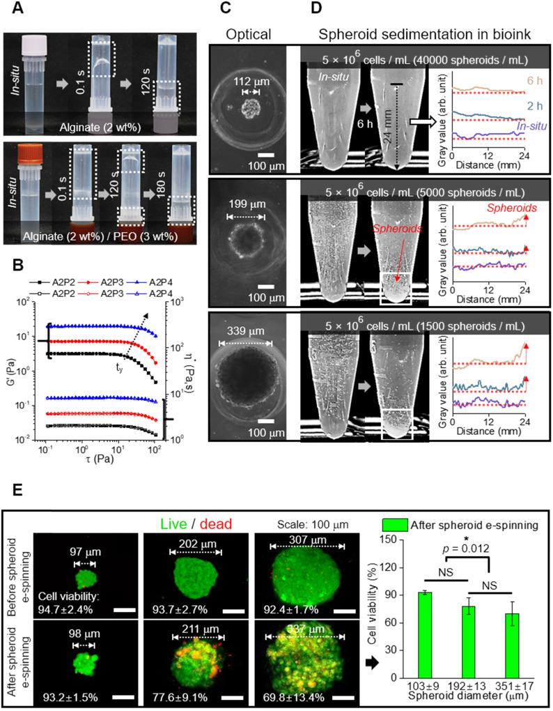https://cdn.ncbi.nlm.nih.gov/pmc/blobs/de23/7847672/3613b6cda247/thnov11p3331g002.jpg